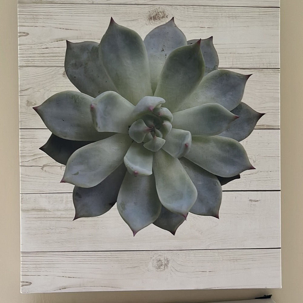 Wall Decor - Picture 4 of 4